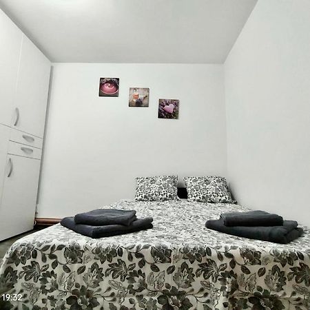 Lavanda Studio Braşov Exteriör bild