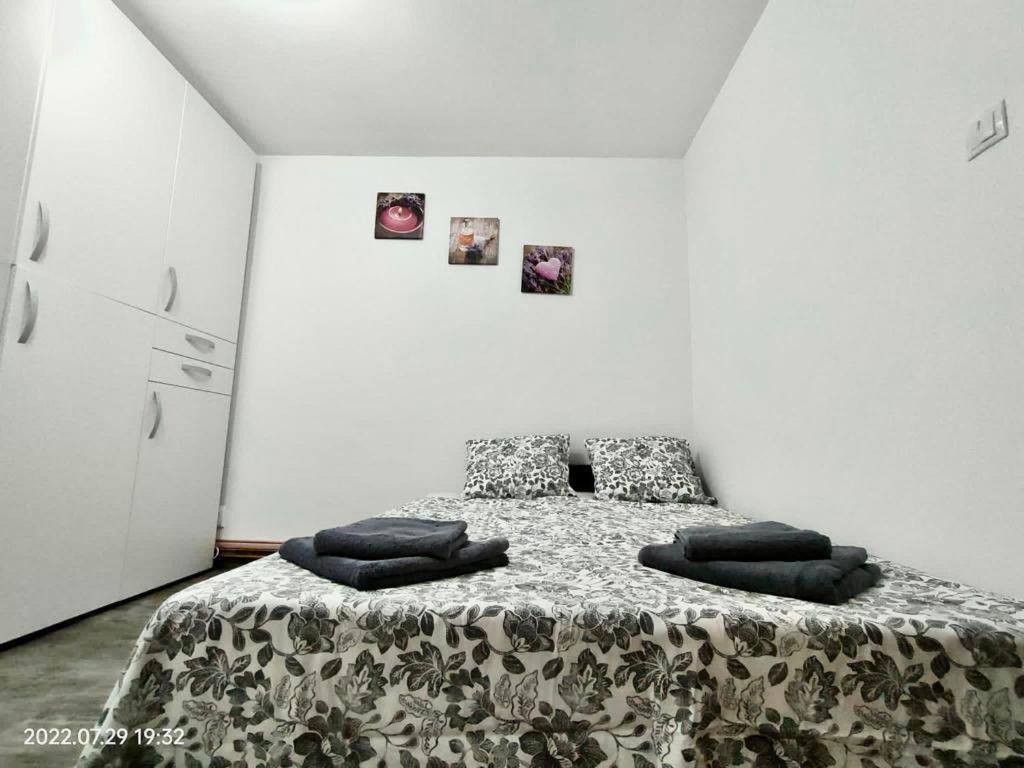 Lavanda Studio Braşov Exteriör bild