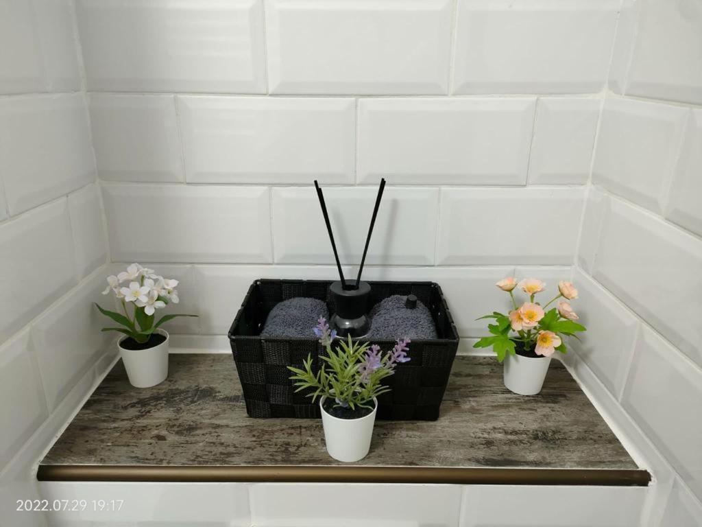 Lavanda Studio Braşov Exteriör bild